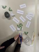 vecer-matematike-u-striboru-jezici03