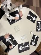 vecer-matematike-u-striboru-jezici04