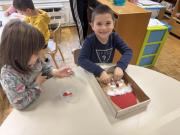 vecer-matematike-u-striboru-jezici09