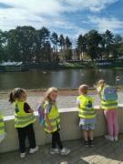 kockice-u-setnji-vinkovackim-jesenima02