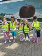 kockice-u-setnji-vinkovackim-jesenima03