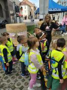 kockice-u-setnji-vinkovackim-jesenima08