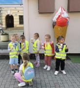 kockice-u-setnji-vinkovackim-jesenima10