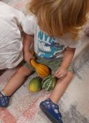 tigrici-iz-jaslica-stribor-upoznaju-jesen04