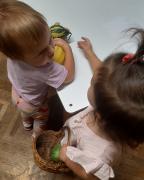 tigrici-iz-jaslica-stribor-upoznaju-jesen05