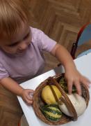 tigrici-iz-jaslica-stribor-upoznaju-jesen06