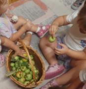 tigrici-iz-jaslica-stribor-upoznaju-jesen10