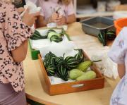 vinkovacke-jeseni-u-skupini-tockice-u-po-pcelica04