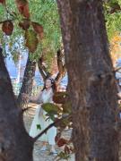 pozdrav-jeseni-u-striboru08