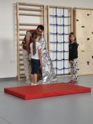 po-mali-princ-vilenjaci-bubamarci-i-pcelice-ucili-kako-pomoci-drugima10