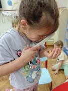 tjedna-tema-jez-i-jesen-u-jaslicama01