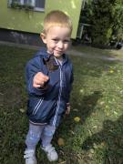 krofnice-iz-po-buducnost-u-potrazi-za-zutim-liscem02